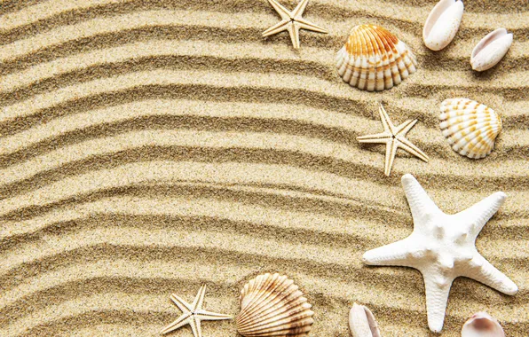 Песок, пляж, фон, ракушки, beach, texture, background, marine