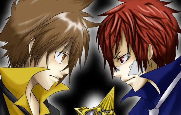 Противостояние, арт, парни, Katekyo Hitman Reborn, противостояние лицом к лицу, Учитель мафиози Реборн