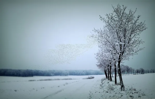 Картинка зима, дорога, снег, деревья, серое небо