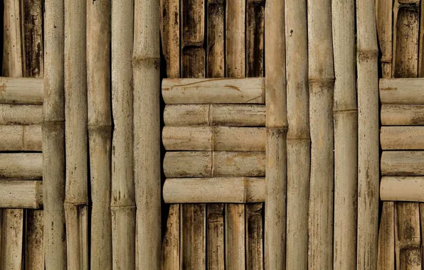 Wall, pattern, bamboo