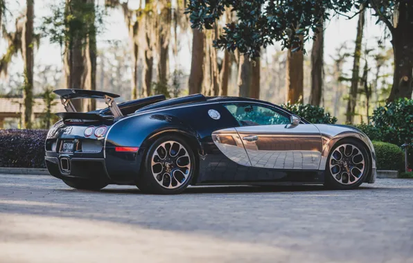 Картинка Bugatti, Veyron, Bugatti Veyron 16.4 Grand Sport Sang Bleu