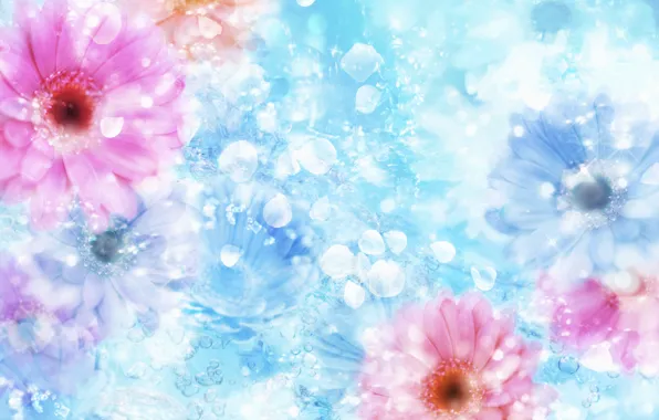 Картинка цветок, вода, отблеск