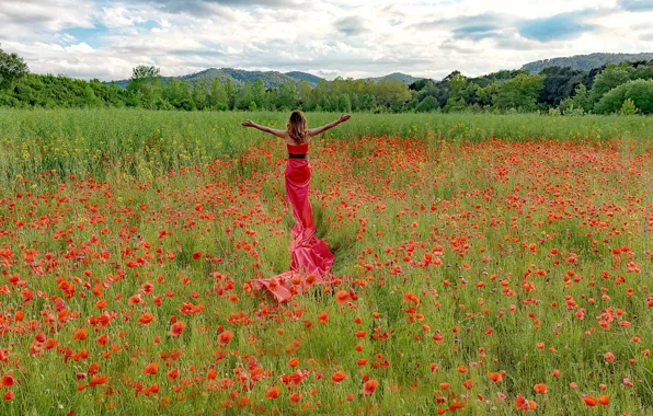 Лето, девушка, маки