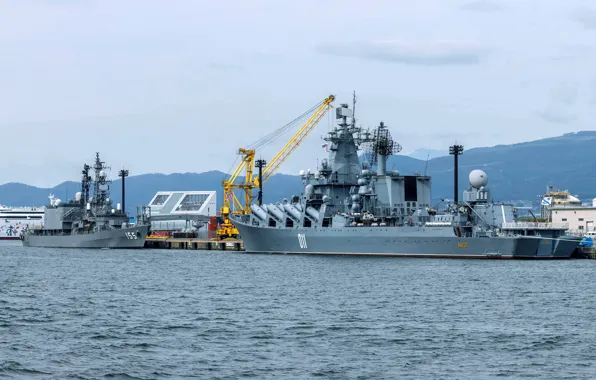 Крейсер, варяг, визит, hakodate