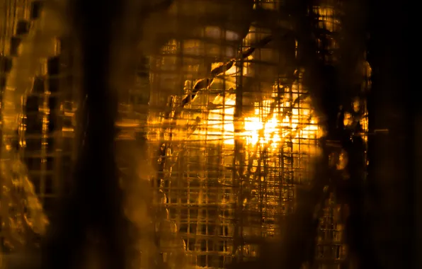 Sunset, Golden, View, Interior, Window, Outside, Curtain, Net
