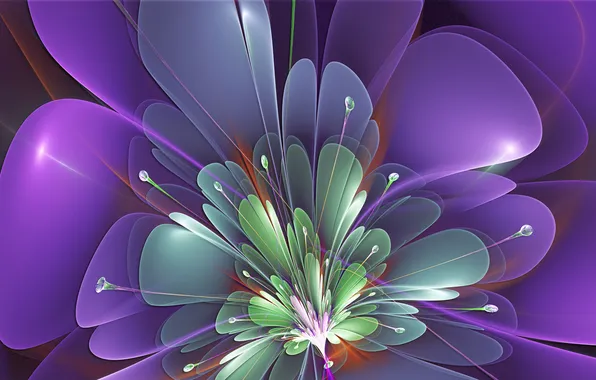 Картинка цветок, фиолетовый, линии, лепестки, тычинки, зелёный