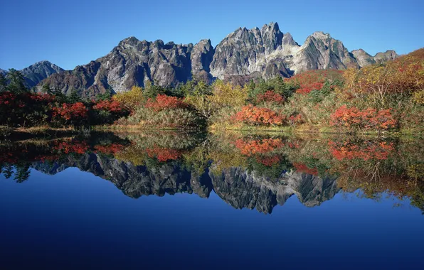 Осень, горы, озеро, отражение, кусты