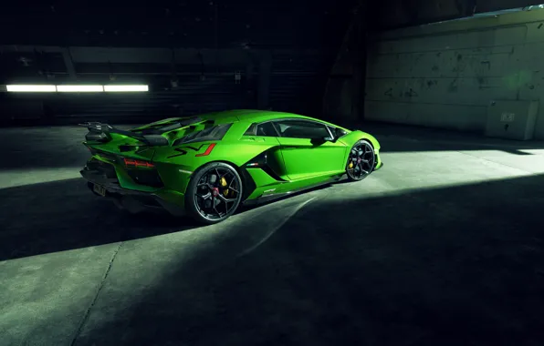 Lamborghini, суперкар, Aventador, Novitec, SVJ, 2019, Aventador SVJ