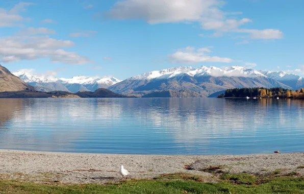 Горы, озеро, берег, Новая Зеландия, Panoramic, Lake Wanaka