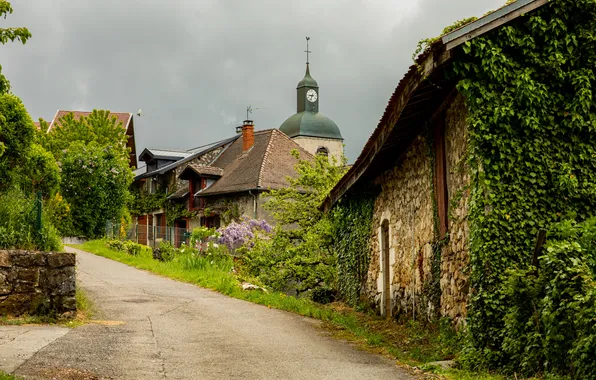 House, road, photography, nature, flowers, village, greenery, architecture