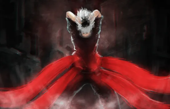 Art, белые волосы, Kaneki Ken, Токийский гуль, Tokyo ghoul, Sasaki Haise