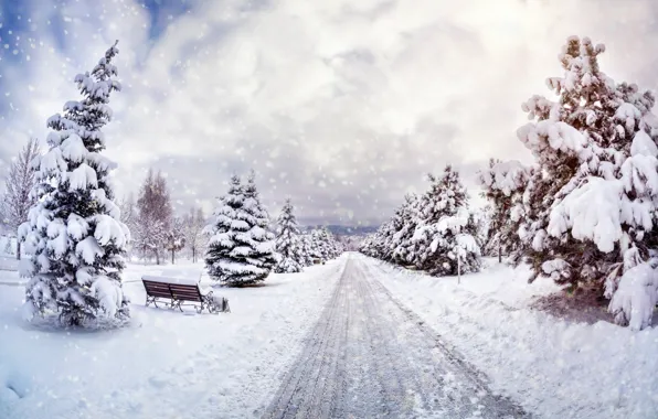 Картинка зима, небо, снег, деревья, пейзаж, природа