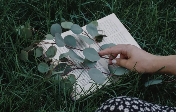 Картинка wallpaper, grass, macro, mood, book, hand, branch, lawn