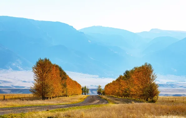 Картинка scenic, orange, photograph, montana, nobody, ennis, valley garden ranch