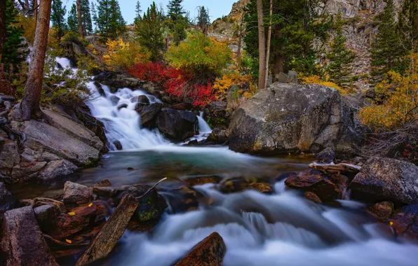 Картинка осень, лес, пейзаж, природа, река, камни, водопад, Калифорния