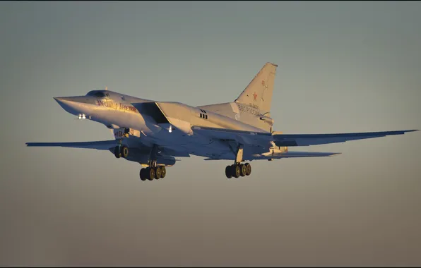 Картинка бомбардировщик, Ту-22М3, дальний