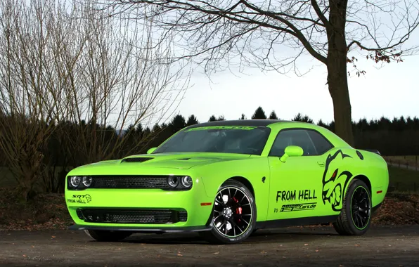 Hellcat, Dodge Challenger SRT, Geigercars, From Hell