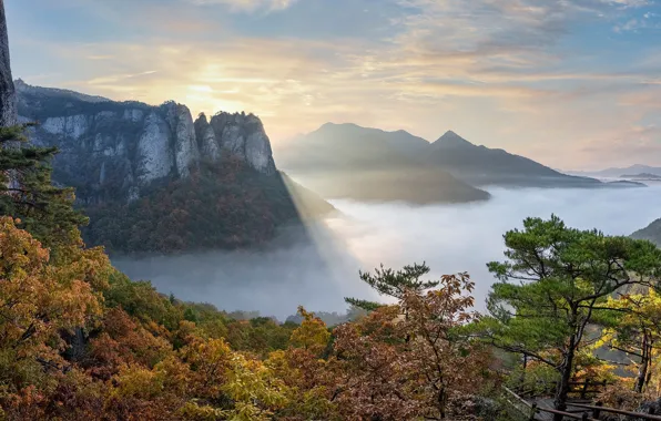 Картинка осень, деревья, горы, South Korea, Южная Корея, Восточно-Корейские горы, Juwangsan National Park, Национальный Парк Джувангсан