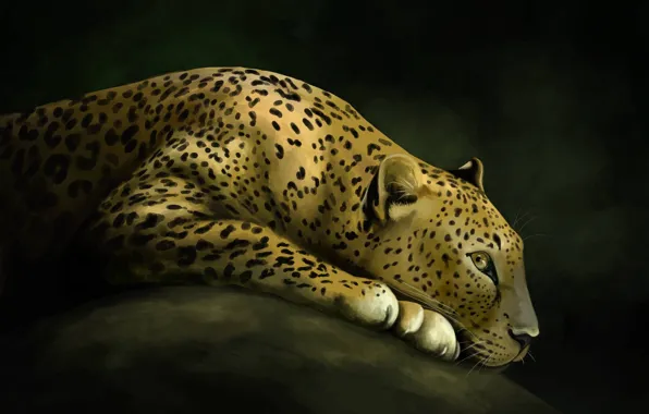 Картинка кошка, камень, хищник, арт, леопард, дикая