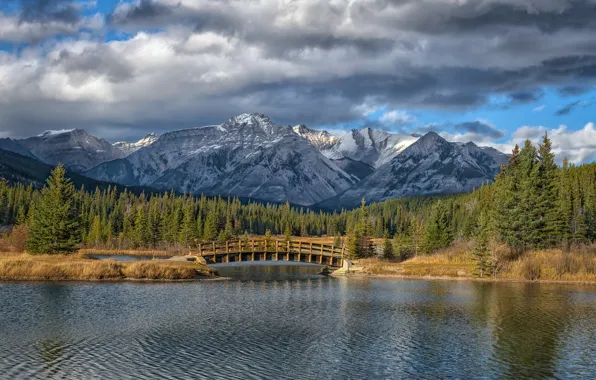 Картинка лес, горы, мост, озеро, Канада, Альберта, Banff National Park, Alberta