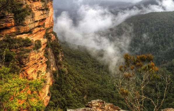 Картинка облака, деревья, горы, камни, скалы, Австралия, Сидней, кусты