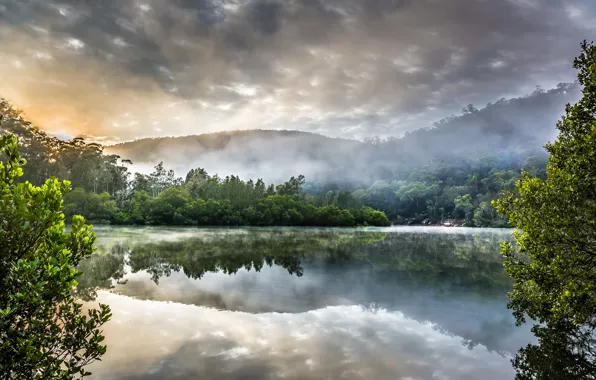 Лес, тучи, природа, озеро, Australia, Sydney, Berowra Creek