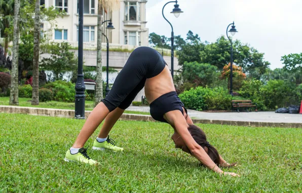 Park, workout, fitness