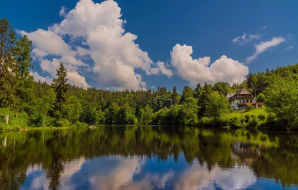 Лес, облака, озеро, дом, отражение, Германия, Germany, Баден-Вюртемберг