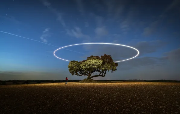 Картинка sky, Tree, field, nature, night, stars, man, long exposure