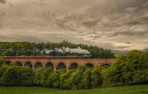 Лес, природа, Англия, поезд, паровоз, железная дорога, Cornwood viaduc