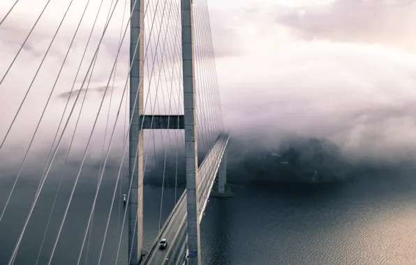 Картинка car, city, forest, sea, ocean, landscape, bridge, water