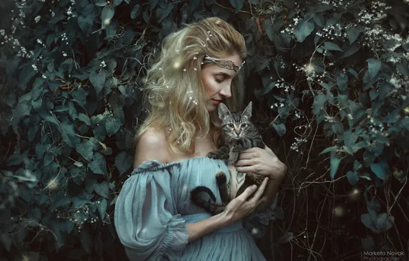 Картинка кошка, взгляд, девушка, платье, фотограф Marketa Novak, Marie Kruzikova Rencova