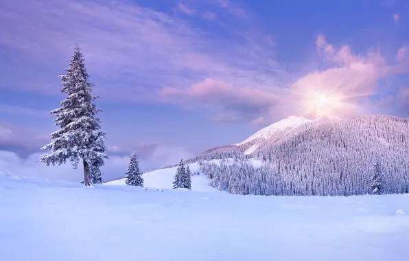 Картинка зима, небо, облака, снег, деревья, пейзаж, горы, природа