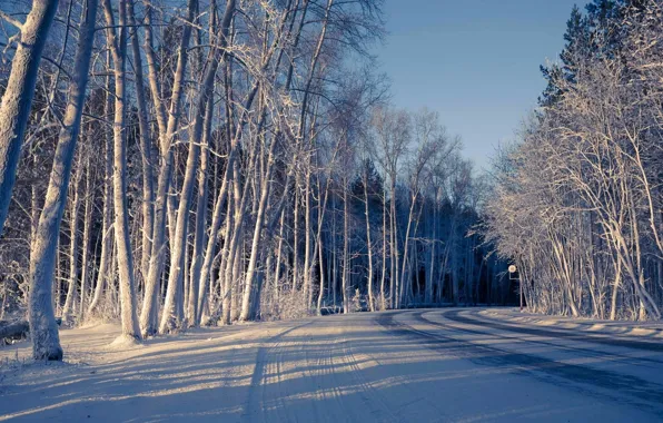 Картинка холод, зима, дорога, снег, деревья, природа, фон, обои