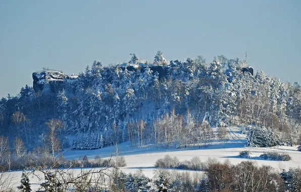 Картинка зима, небо, снег, деревья, скала, гора