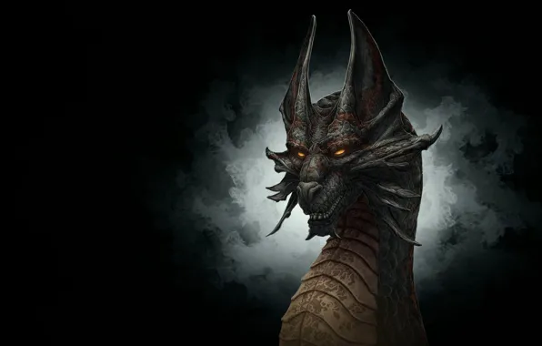 Fantasy, dragon, muzzle