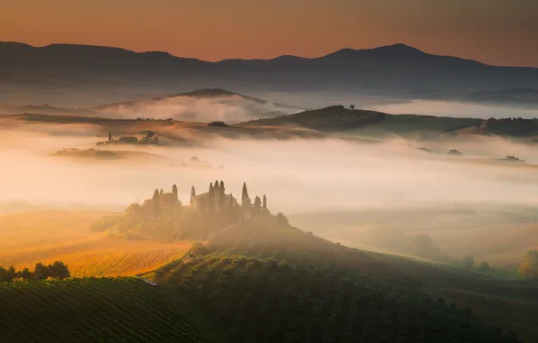 Картинка туман, восход, холмы, поля, дома, утро, Италия, виноградники