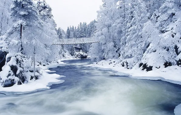 Зима, иней, снег, деревья, мост, река