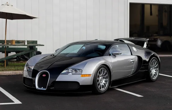 Bugatti, Veyron, Black, Silver