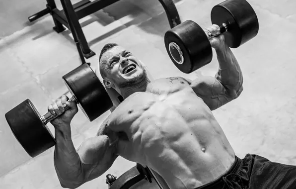 Тату, muscle, мышцы, tattoo, гантели, gym, бодибилдер, dumbbells