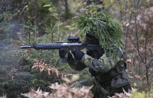 Картинка лес, оружие, солдат, Swedish Army