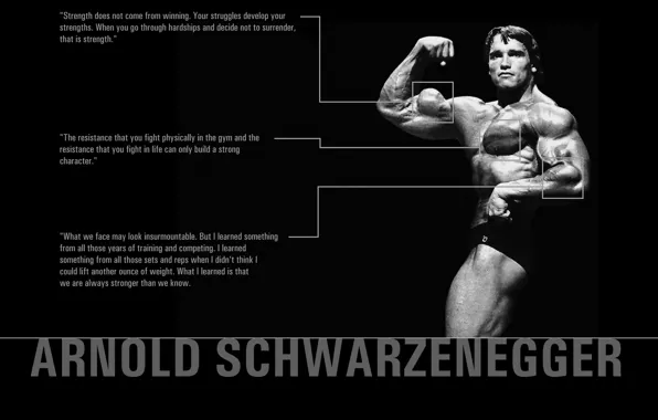Картинка сила, тело, мышцы, цитаты, Arnold, Schwarzenegger