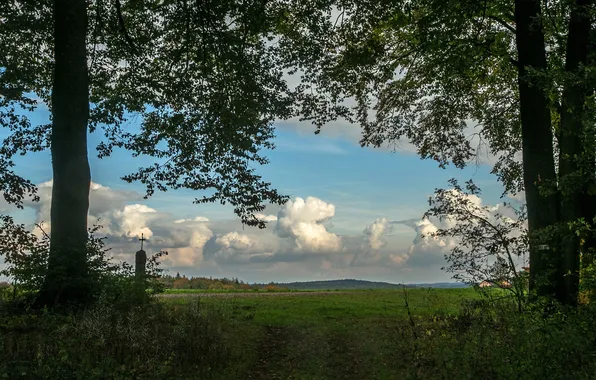 Небо, трава, облака, деревья, ветки, вид, Германия, Бавария