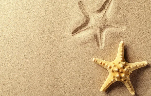 Картинка песок, след, морская звезда