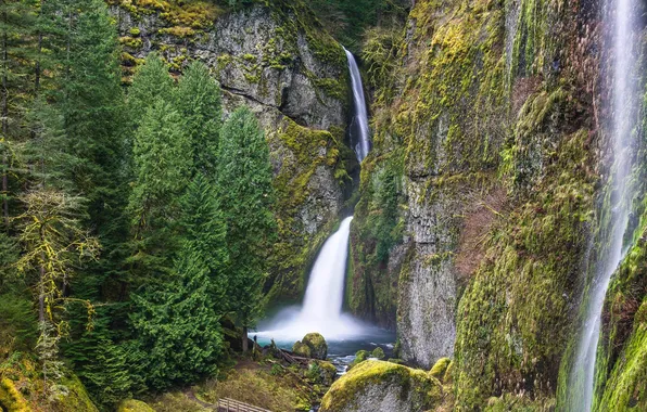 Картинка деревья, камни, скалы, водопад, США, wachlella falls, columbia river gorge