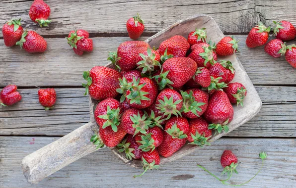 Ягоды, клубника, fresh, strawberry, berries