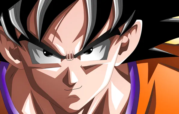 Hero, asian, martial artist, warrior, japanese, Son Goku, oriental, asiatic