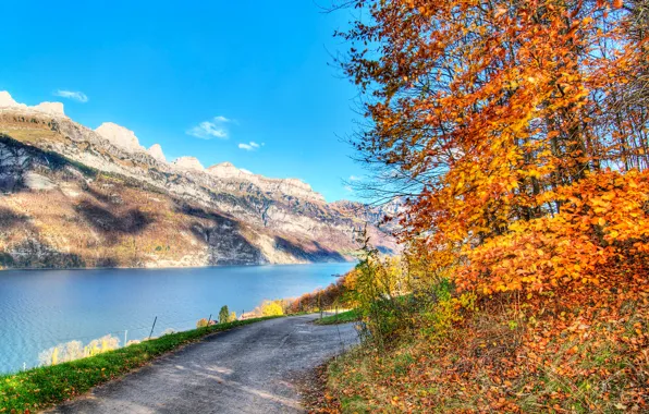 Картинка дорога, осень, небо, листья, деревья, горы, озеро