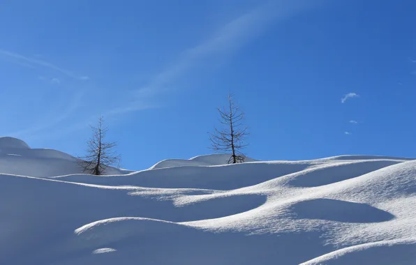 Зима, небо, снег, холмы, склон, деревце
