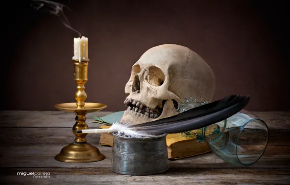 Перо, бокал, череп, свеча, натюрморт